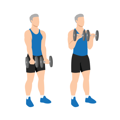 Visual of reverse biceps curl